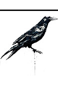 mes dessins, encre, crayon